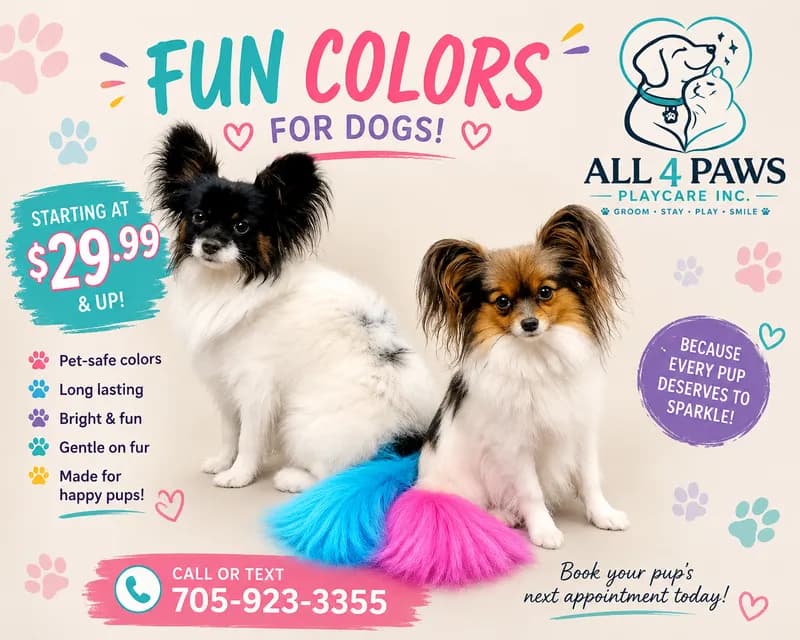 Fun Colors For Dogs Promo